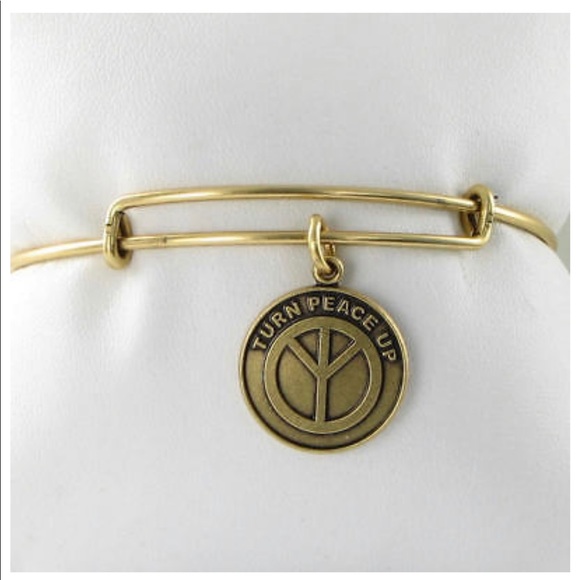 🆕 | Alex and Ani | Bracelet - Picture 4 of 8